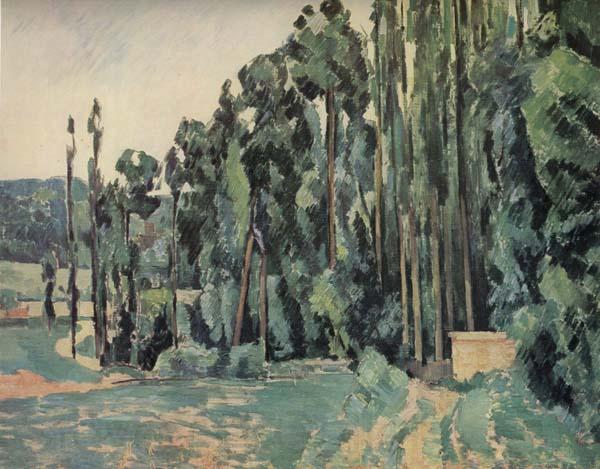 Paul Cezanne The Poplars